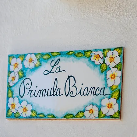 La Primula Bianca